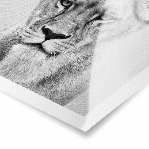 Wanddeko über Bett Löwin Lisa Schwarz Weiß