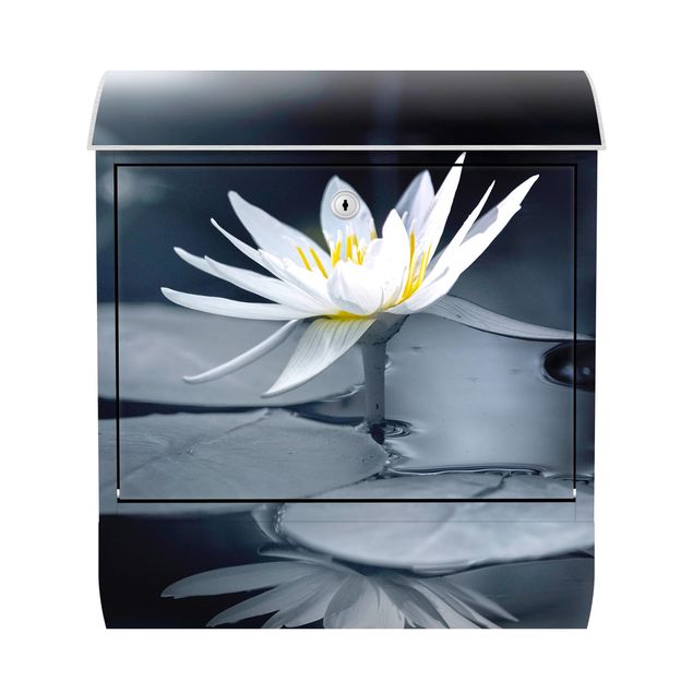 Wanddeko Blume Lotus Spiegelung im Wasser