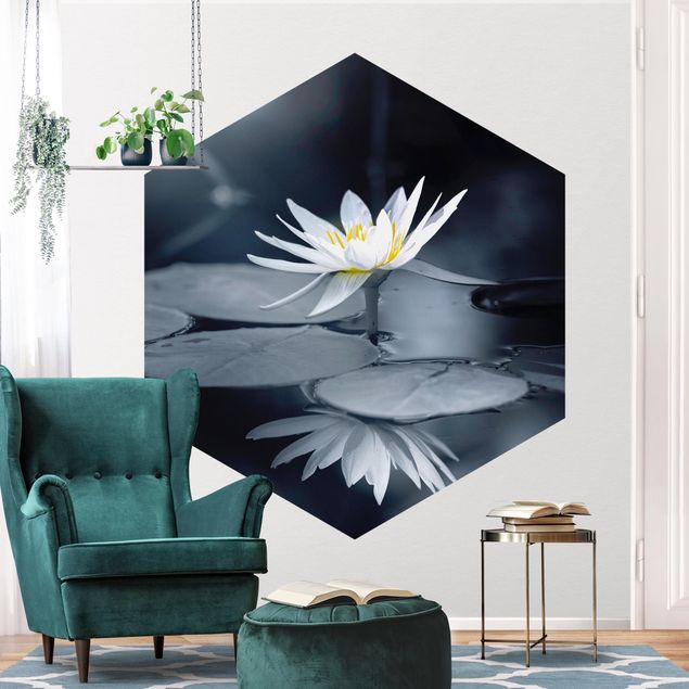 Deko Blume Lotus Spiegelung im Wasser