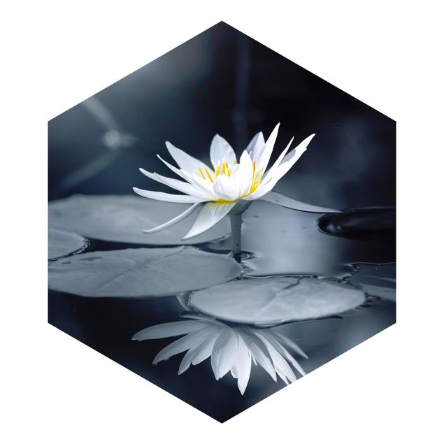 Wanddeko Büro Lotus Spiegelung im Wasser