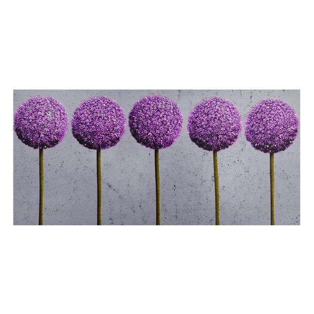 Wanddeko Flur Allium Kugel-Blüten