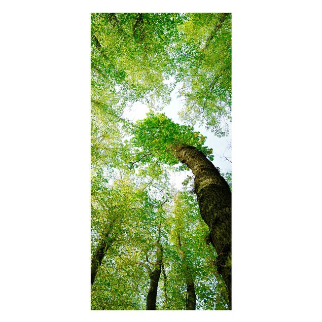 Wanddeko Esszimmer Bäume des Lebens