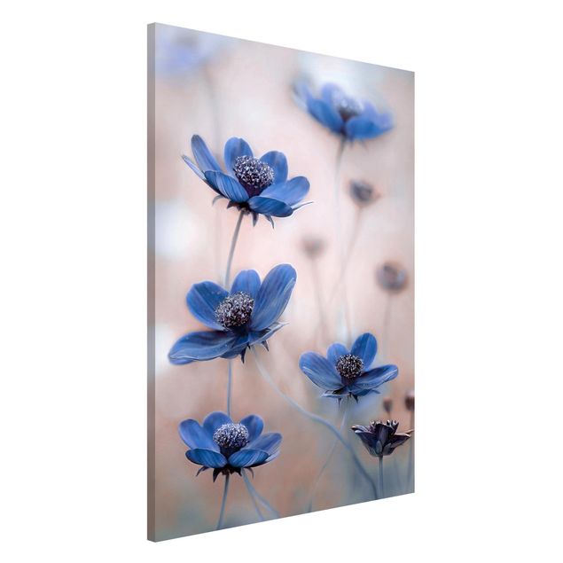 Wanddeko Blume Blaue Kosmeen