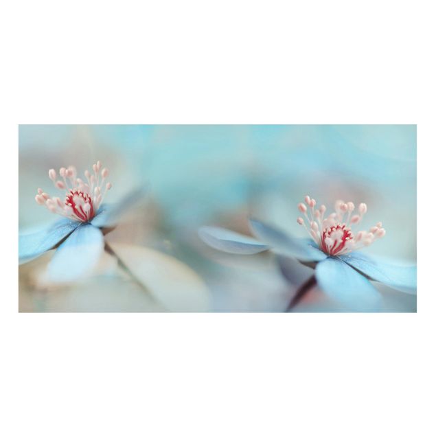 Wanddeko Blume Blüten in Hellblau