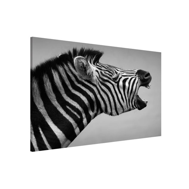 Wanddeko Flur Brüllendes Zebra II