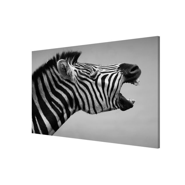 Wanddeko Büro Brüllendes Zebra II