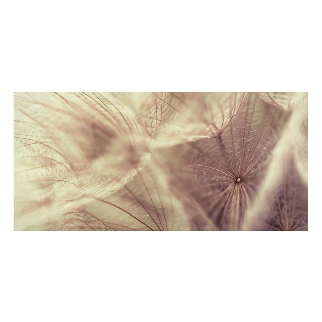 Deko Blume Detailreiche Pusteblumen Makroaufnahme mit Vintage Blur Effekt