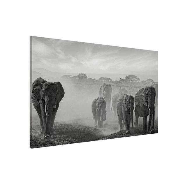 Wandbilder Elefanten Elefantenherde