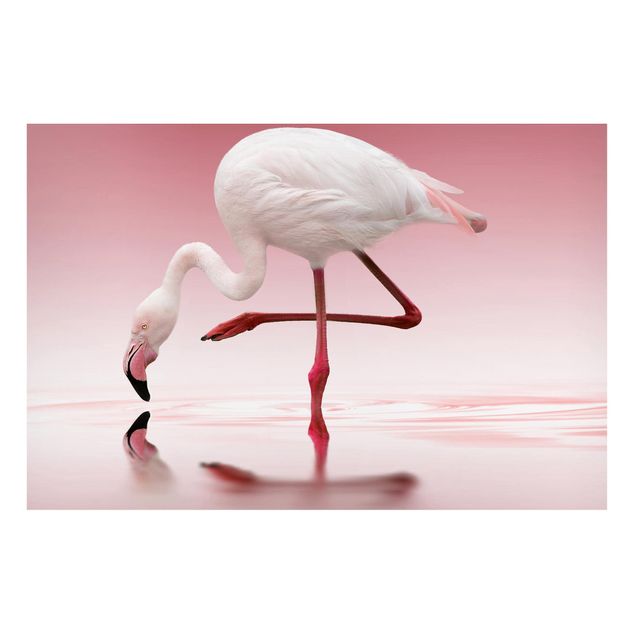 Wanddeko Esszimmer Flamingo Dance