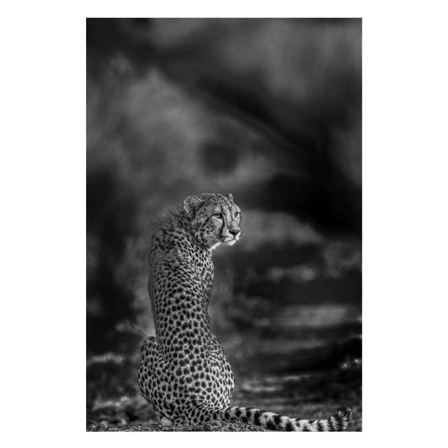 Wanddeko Esszimmer Gepard in der Wildness