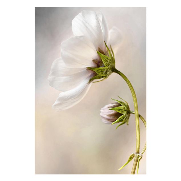Wanddeko Blume Himmlischer Blütentraum