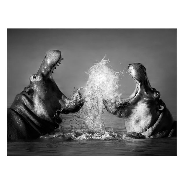 Wanddeko Esszimmer Hippo Fight
