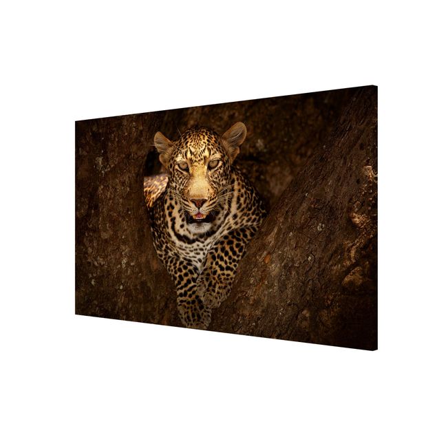 Wanddeko Esszimmer Leopard ruht auf einem Baum