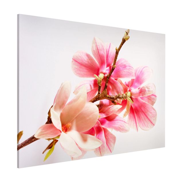 Wanddeko Blume Magnolienblüten