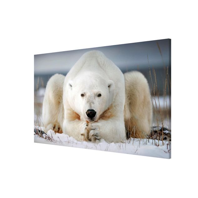 Wanddeko Esszimmer Nachdenklicher Eisbär