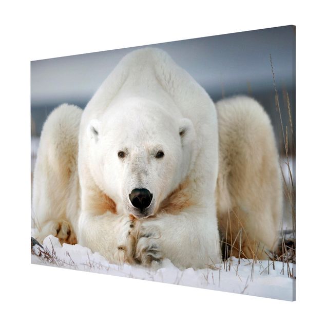 Wanddeko Esszimmer Nachdenklicher Eisbär