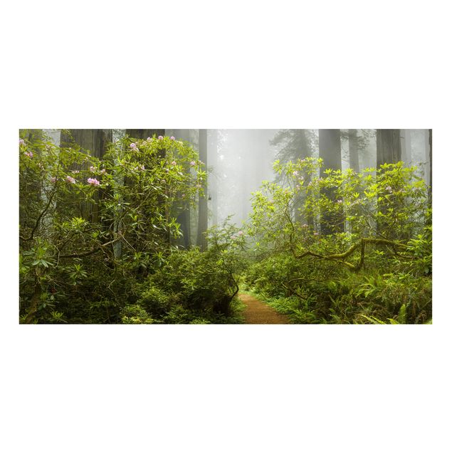 Wanddeko Esszimmer Nebliger Waldpfad