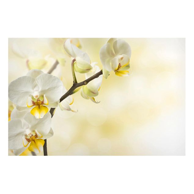 Wohndeko Blume Orchideen Zweig