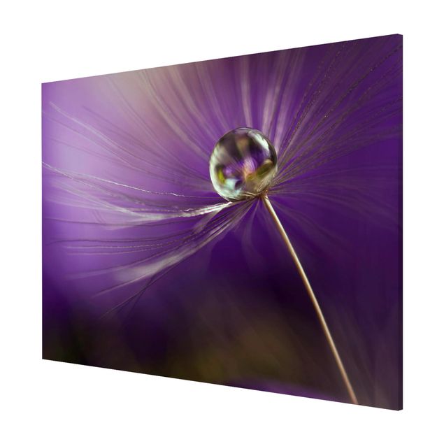 Wanddeko Esszimmer Pusteblume in Violett