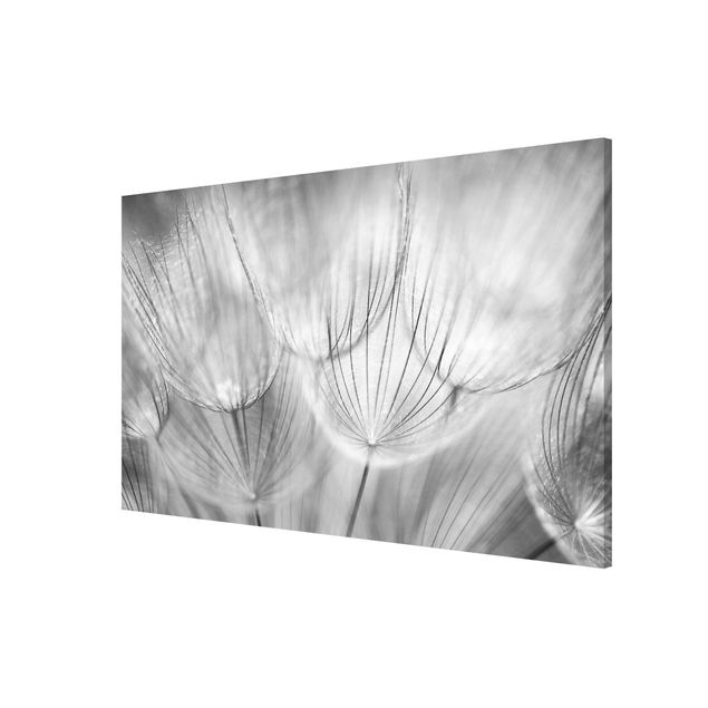 Wanddeko Esszimmer Pusteblumen Makroaufnahme in schwarz weiß
