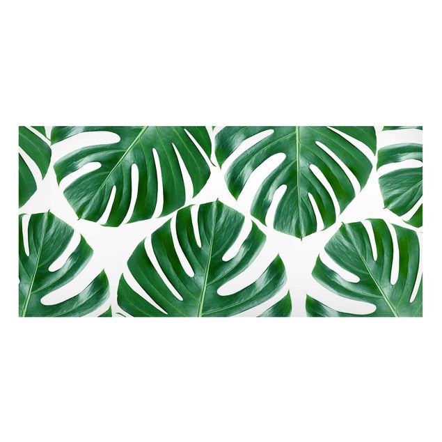 Wanddeko Flur Tropische grüne Blätter Monstera