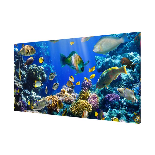Wanddeko Wohnzimmer Underwater Reef