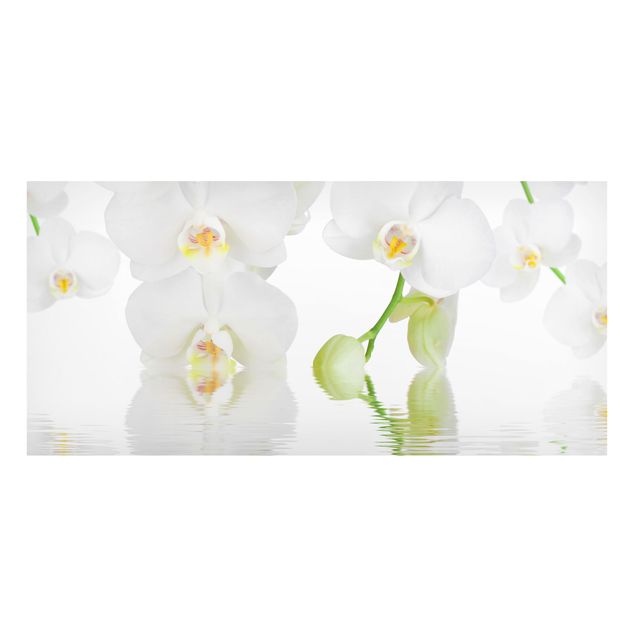 Deko Blume Orchideen Wellness Orchidee