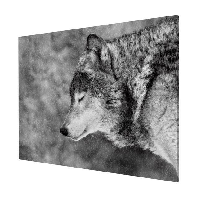 Wanddeko Büro Winter Wolf