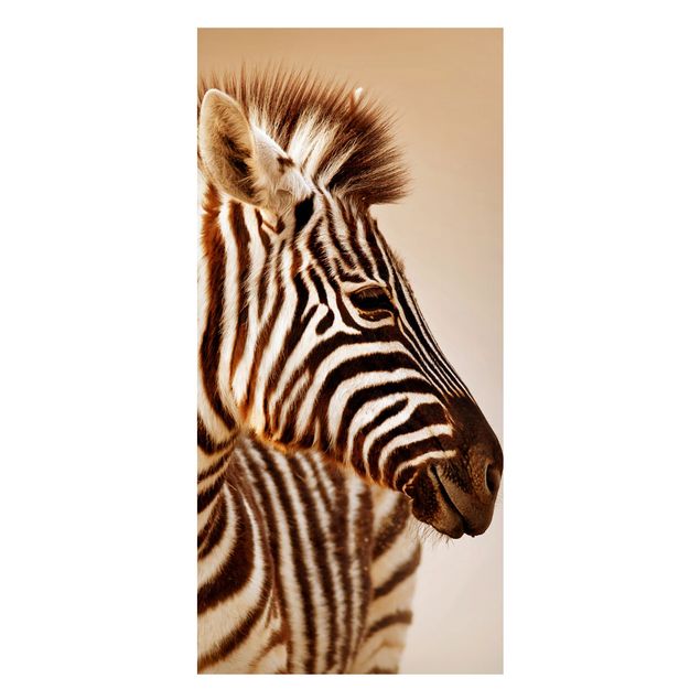 Wanddeko Flur Zebra Baby Portrait