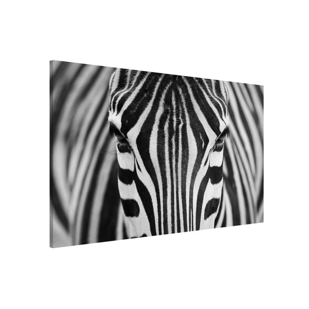 Wanddeko Büro Zebra Look