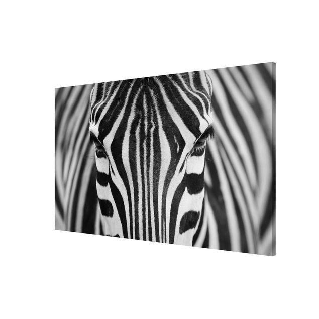 Wanddeko schwarz-weiß Zebra Look
