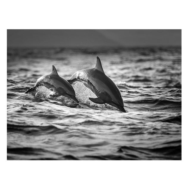 Wanddeko Flur Zwei springende Delfine