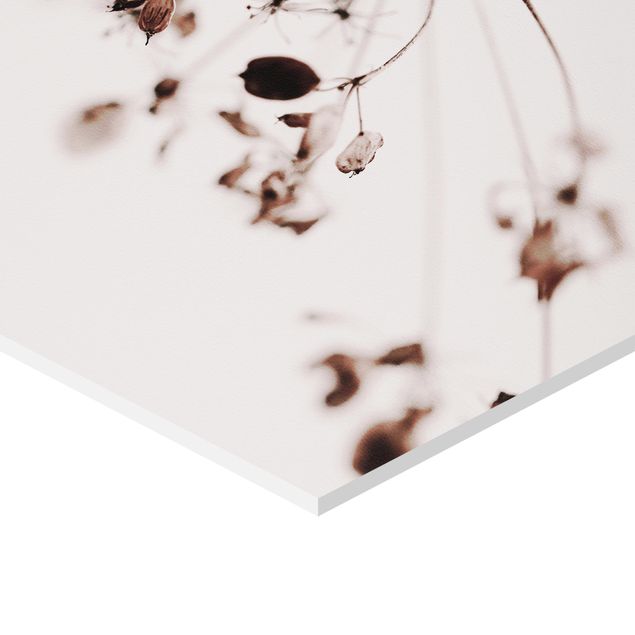 Wanddeko über Sofa Makroaufnahme Trockenblume im Schatten