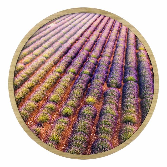 Wanddeko über Sofa Malerisches Lavendelfeld