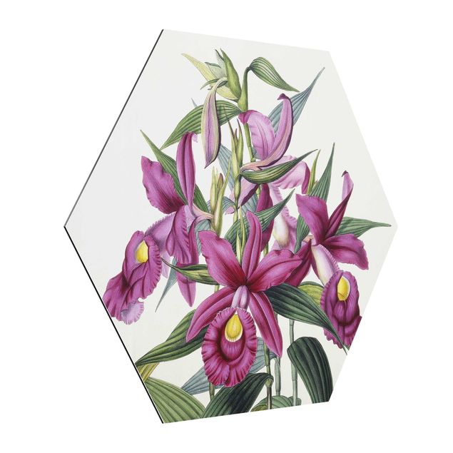 Wanddeko Flur Maxim Gauci - Orchidee I