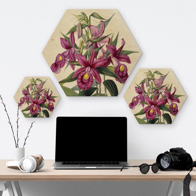 Wanddeko über Sofa Maxim Gauci - Orchidee I