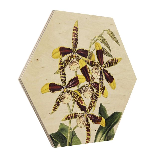 Wanddeko Flur Maxim Gauci - Orchidee II