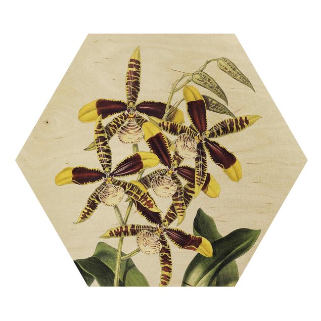 Wanddeko grün Maxim Gauci - Orchidee II
