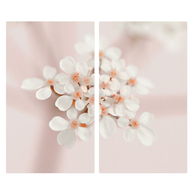 Wohndeko Fotografie Miniblüten im Rosanen Licht