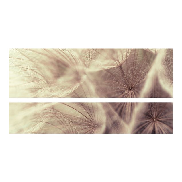 Klebefolie Blumenmuster Detailreiche Pusteblumen Makroaufnahme mit Vintage Blur Effekt