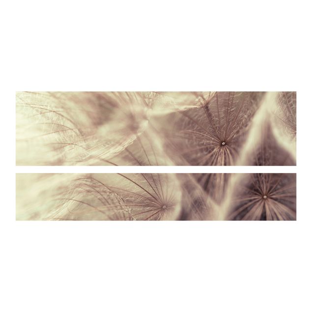 Klebefolie Blumenmuster Detailreiche Pusteblumen Makroaufnahme mit Vintage Blur Effekt