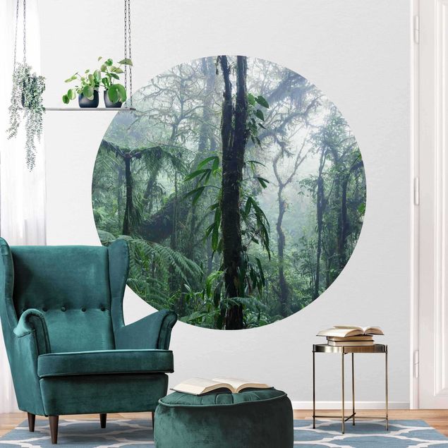 Wanddeko Schlafzimmer Monteverde Nebelwald