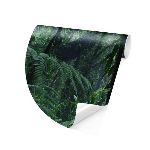 Wanddeko Flur Monteverde Nebelwald