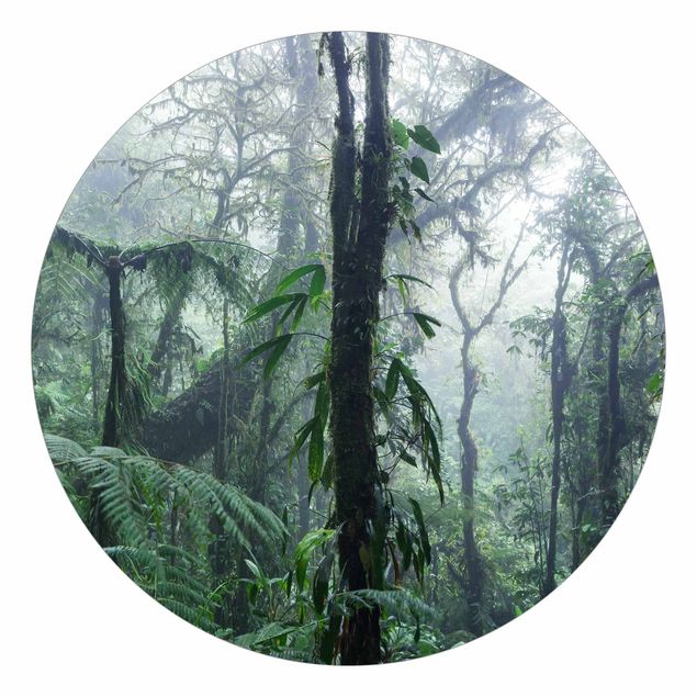 Wanddeko Esszimmer Monteverde Nebelwald