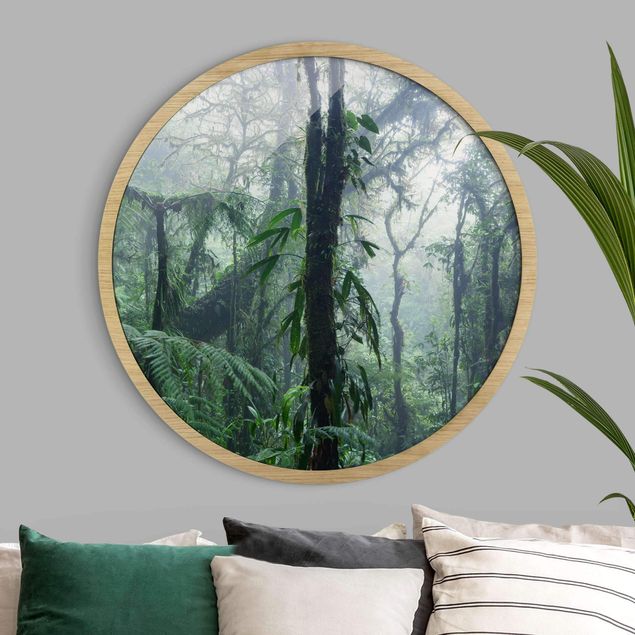 Wanddeko grün Monteverde Nebelwald