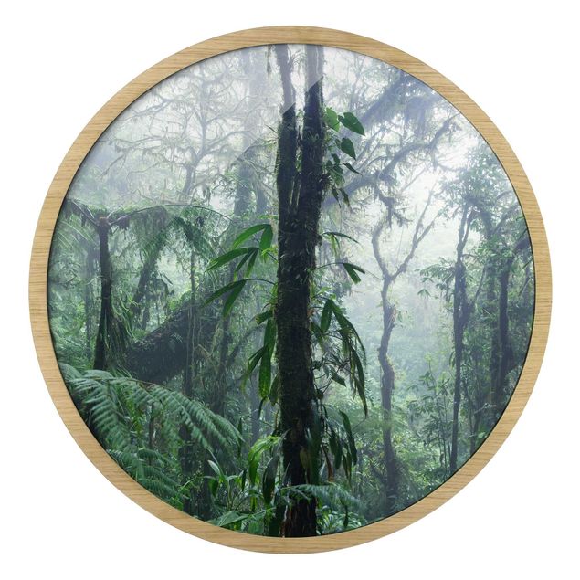 Wanddeko Praxis Monteverde Nebelwald