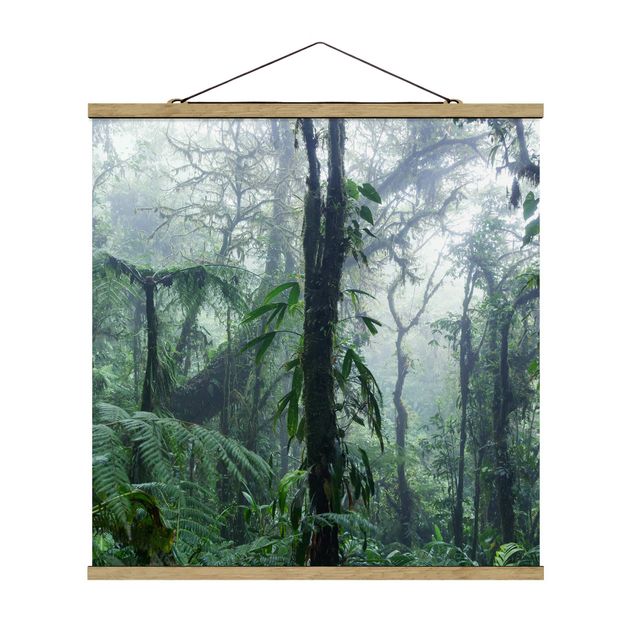 Wanddeko über Sofa Monteverde Nebelwald