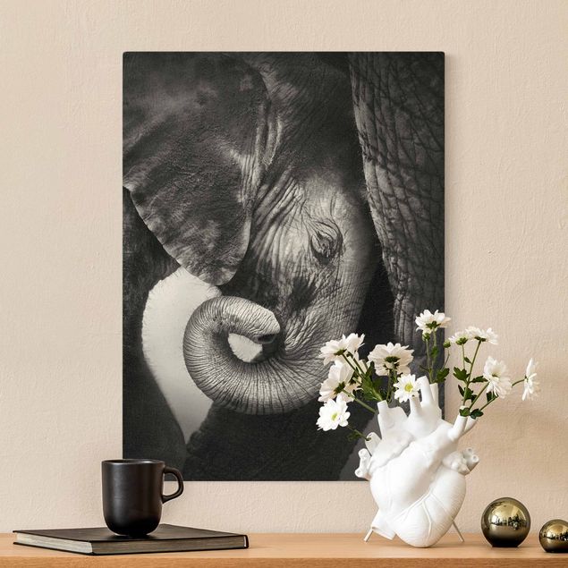 Wandbilder Elefanten Mutterliebe