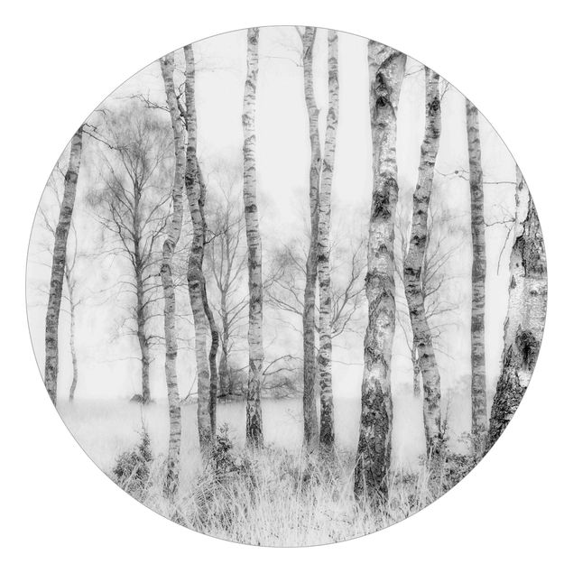 Wanddeko Esszimmer Mystischer Birkenwald Schwarz-Weiß