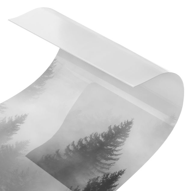 Deko Fotografie Nadelwald im Nebel Schwarz Weiß